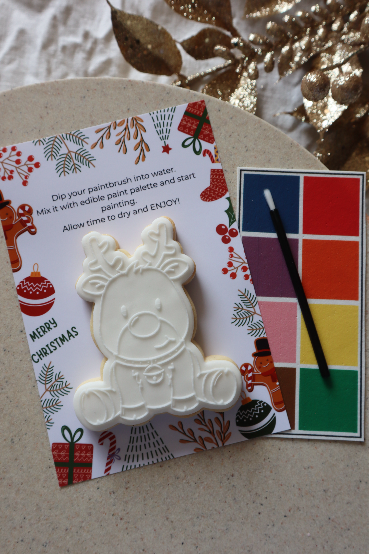 Paint Your On (PYO) Single Christmas cookie