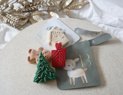 2025 Surprise Advent Calendar